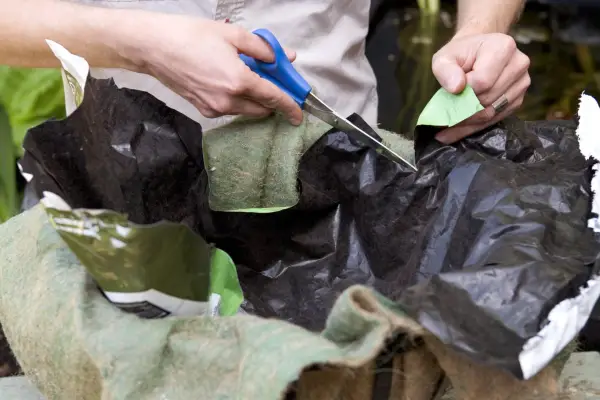 Adding an old plastic bag to the hanging basket liner to aid moisture retention