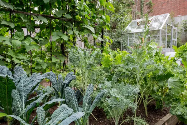 Real gardens: splendour on a slope