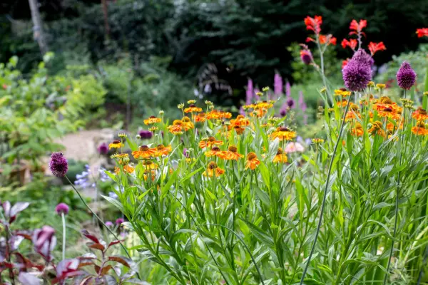 Real gardens: splendour on a slope