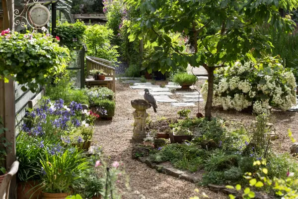 Real gardens: splendour on a slope