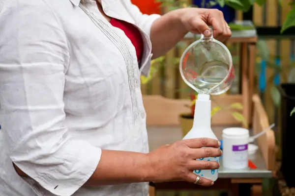 Organic, home-made weedkillers - making a salt solution