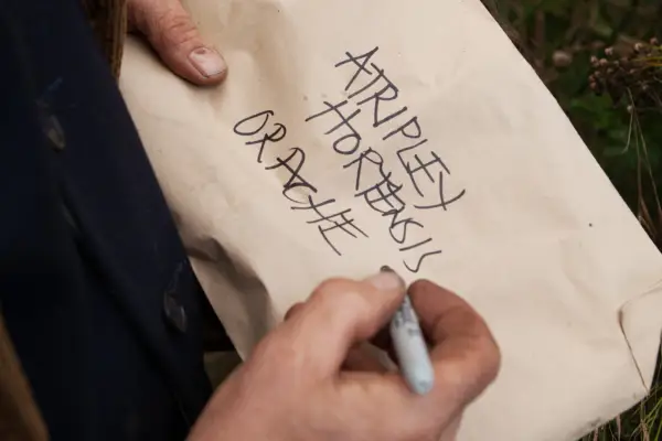 Labelling the orache seed bag