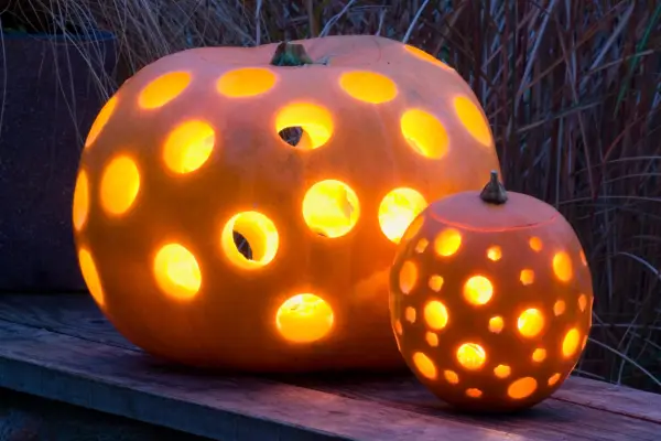 How to grow pumpkins and squash - Halloween lantern