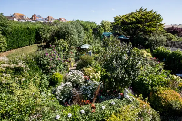 Driftwood: the rear garden is packed with colourful plants and eclectic objects