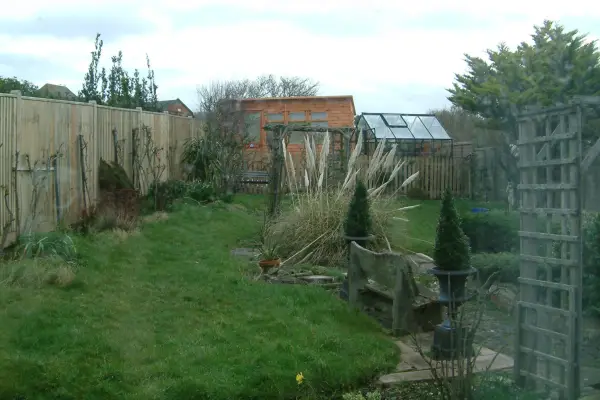 Driftwood: When Geoff moved in the garden was mostly laid to lawn