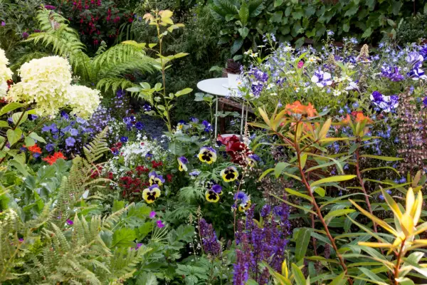 Driftwood: petunias and pansies rub shoulders with hydrangeas, salvias, ferns and heucheras