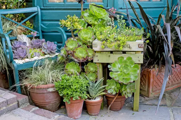 Upcycling - planter chair