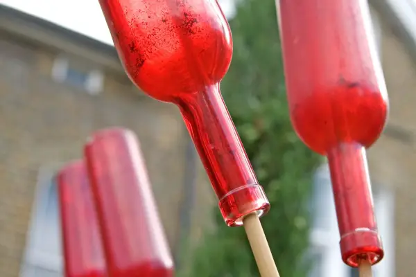 Upcycling - reusing wine bottles