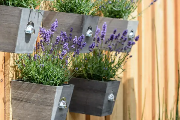 Upcycling - planting up boxes