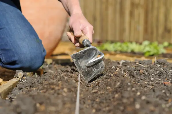 Making a shallow drill