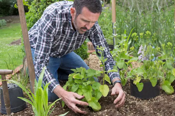 How to create a gravel border - backfilling the hole with the gravel mixture
