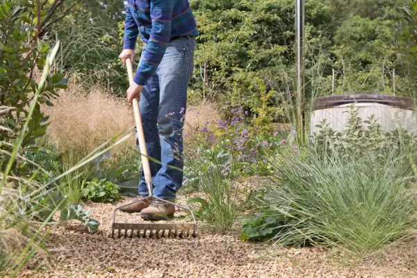 How to create a drought-tolerant gravel border