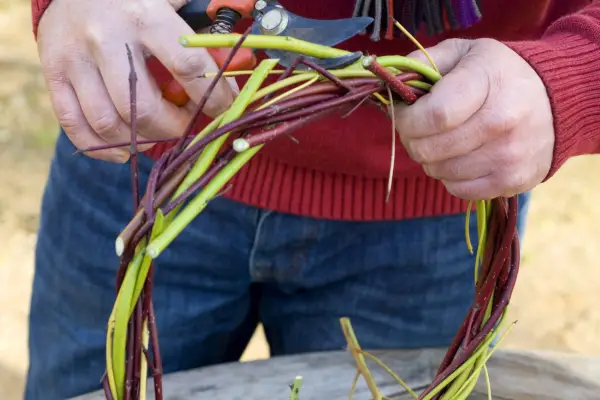 weaving-dogwood-stems-together-3