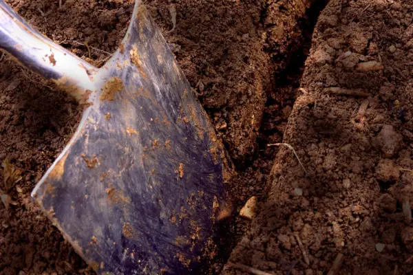 Making a vertical slit in the soil