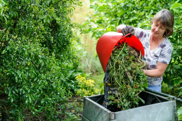 Organic gardening tips - composting