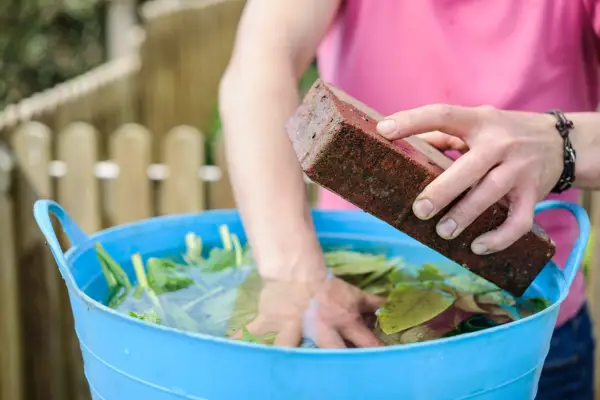 10 organiske hagearbeidstips