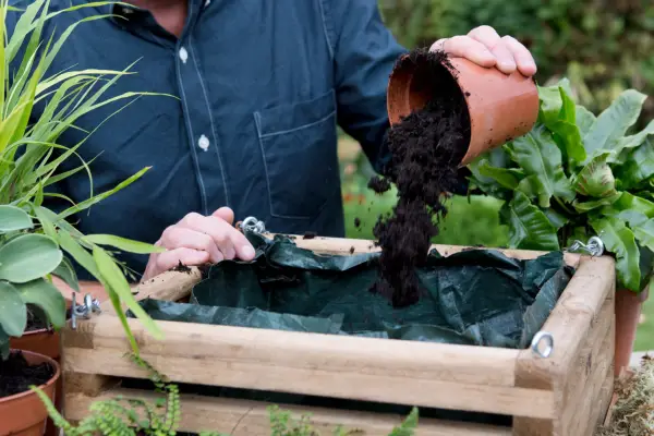 Adding peat-free compost to the hanging basket