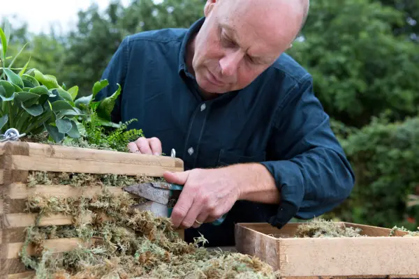 Shear shearing off excess moss of a hanging basket