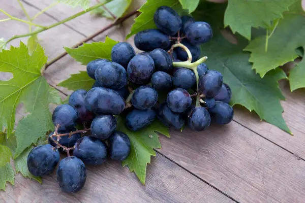Black grapes