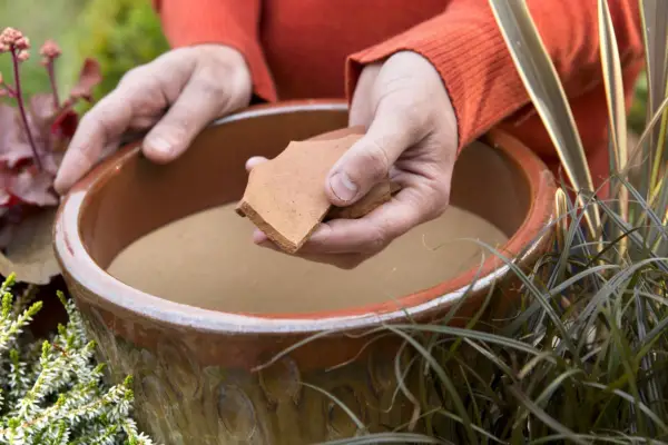 Adding crocks to the pot