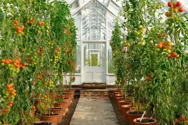 Get the look – Gordon Castle Walled Garden