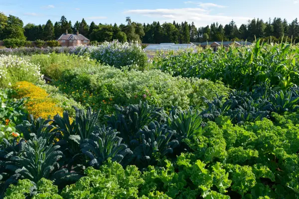 Get the look – Gordon Castle Walled Garden