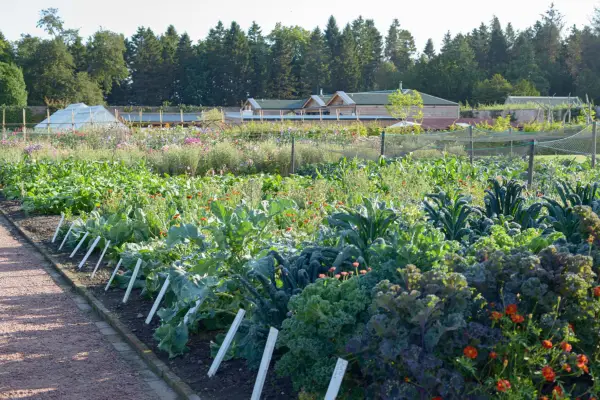 Get the look – Gordon Castle Walled Garden