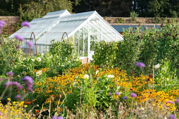 קבל את המראה - גן חומה של טירת גורדון