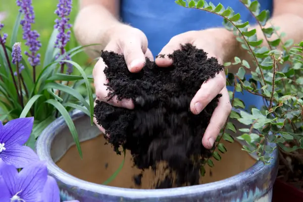 Adding compost to a container
