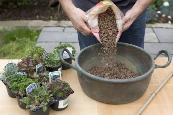 Alpine container - adding horticultural grit