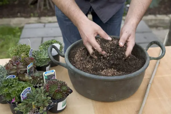 Alpine container - mixing compost with horticultural grit