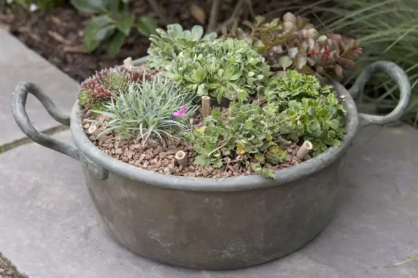 알파인 냄비 디스플레이