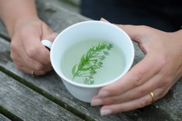 How to grow thyme - thyme and hyssop tea