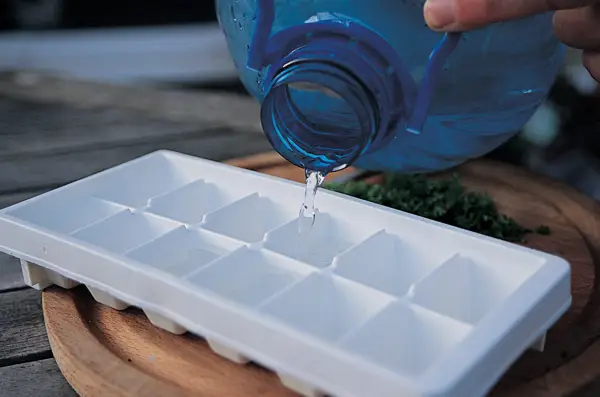 Adding water to the ice cube tray