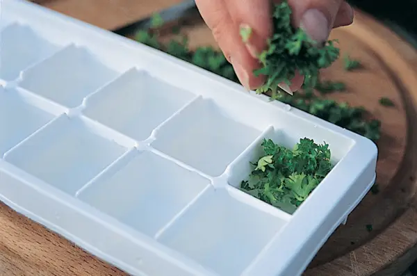 Adding herbs to the ice cube tray