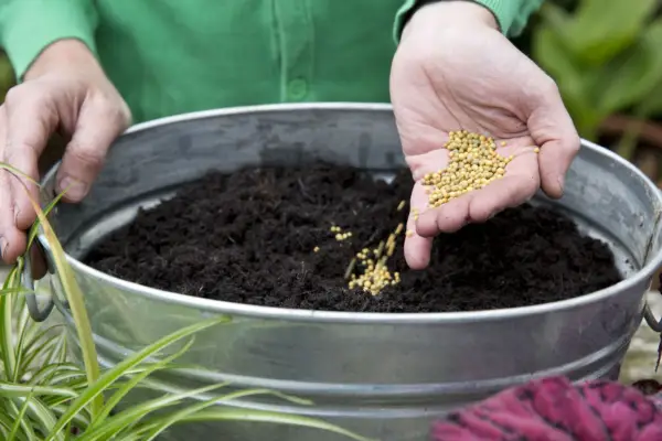 Adding slow-release fertiliser