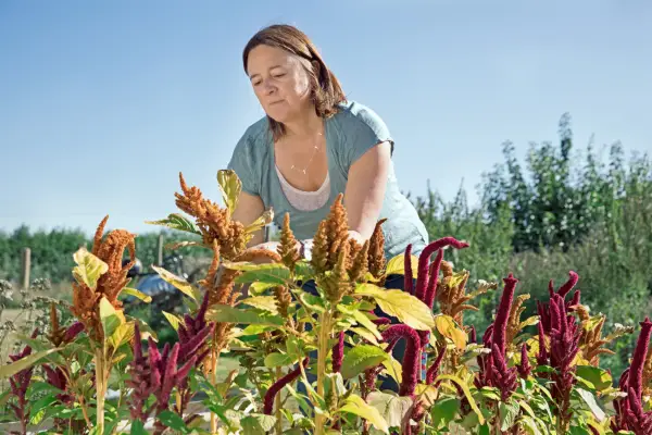 Grow your own protein