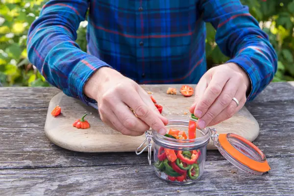 How to pickle chillies - adding chillies to a jar
