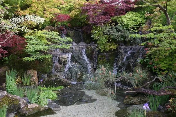 Høydepunkter fra RHS Chelsea Flower Show 2023