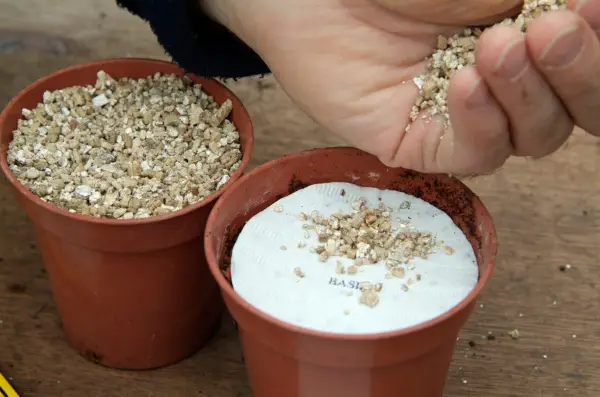 How to grow herbs from seed discs - covering the disc with vermiculite