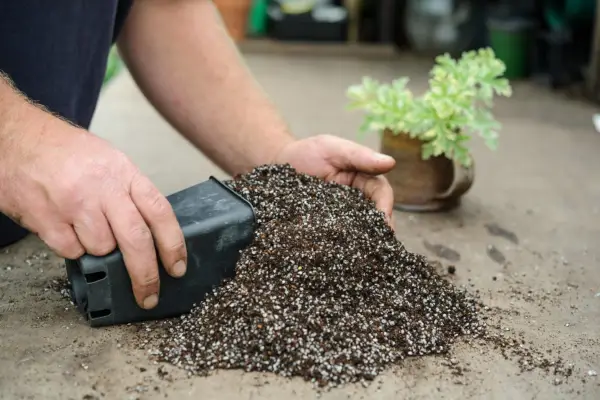 Taking pelargonium cuttings - mixing compost with perlite