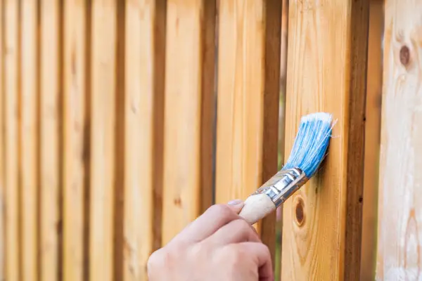 How to hide a fence - paint your fence