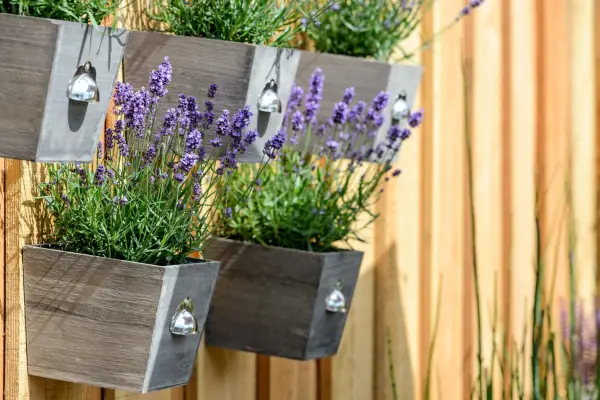 How to hide a fence - hanging plant pots on a fence