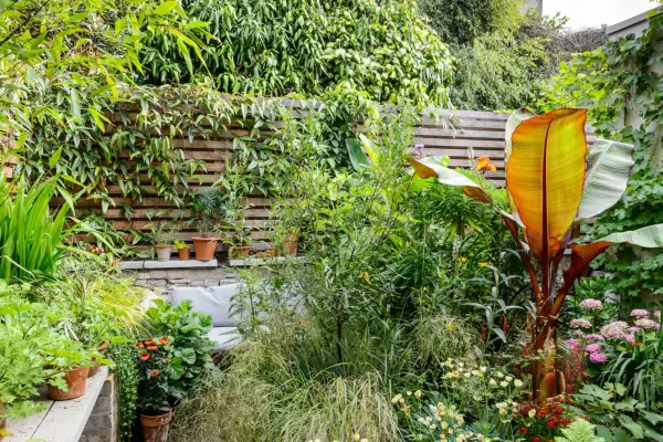 울타리를 숨기는 5 가지 방법