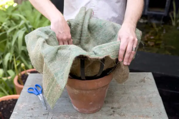 Lining the hanging basket