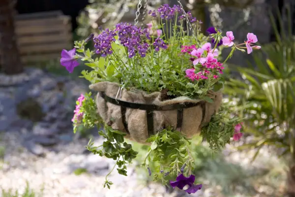 Gerarnium, Nemesyia e Eventia na cesta