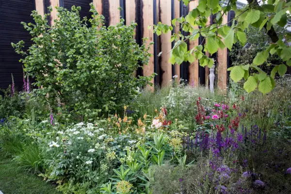 Hvordan lage en sensorisk hage