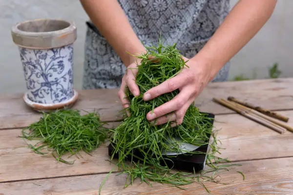 Weigh out the grass clippings