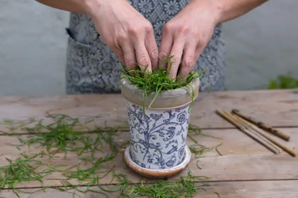 Cram in the grass clippings until the container is two-thirds full
