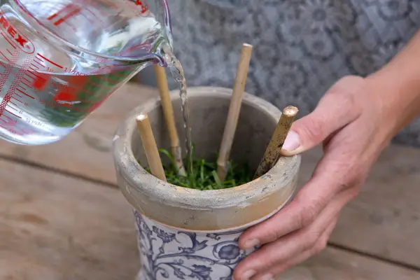Fill the container with water and add extra clippings